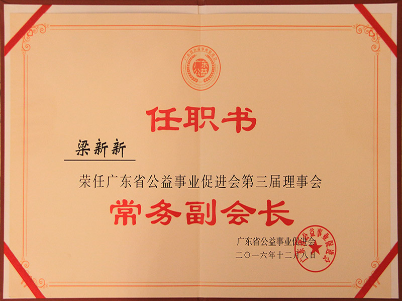 常务副会长
